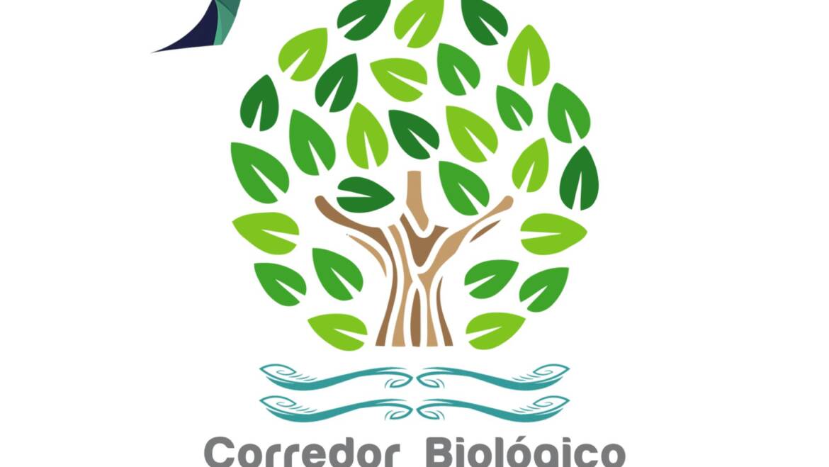Asociación de Oceanólogos de México, A.C. (ASOCEAN) nuevo miembro del Comité Internacional del Corredor Biologico Mundial